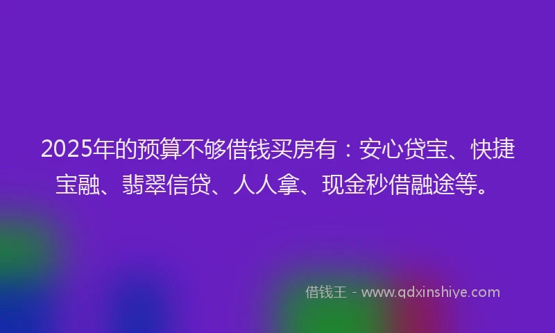 2025年的预算不够借钱买房有：安心贷宝、快捷宝融、翡翠信贷、人人拿、现金秒借融途等。