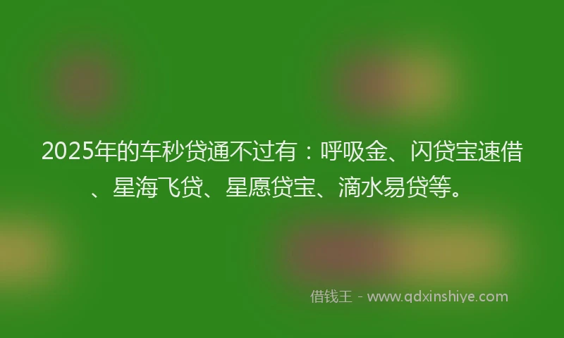 2025年的车秒贷通不过有：呼吸金、闪贷宝速借、星海飞贷、星愿贷宝、滴水易贷等。