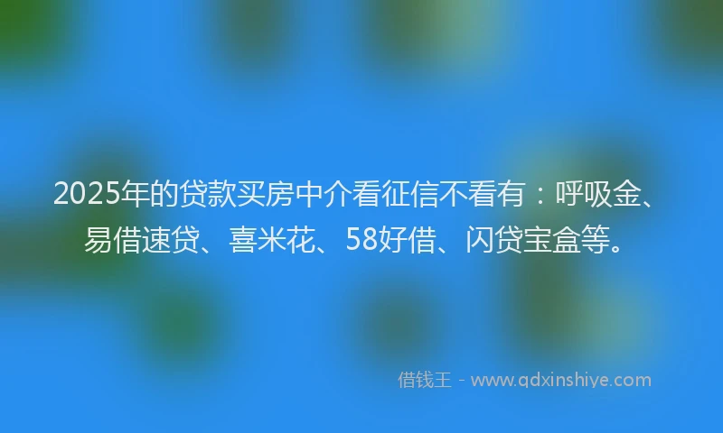 2025年的贷款买房中介看征信不看有：呼吸金、易借速贷、喜米花、58好借、闪贷宝盒等。
