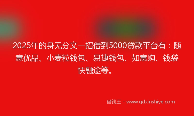 2025年的身无分文一招借到5000贷款平台有：随意优品、小麦粒钱包、易捷钱包、如意购、钱袋快融途等。
