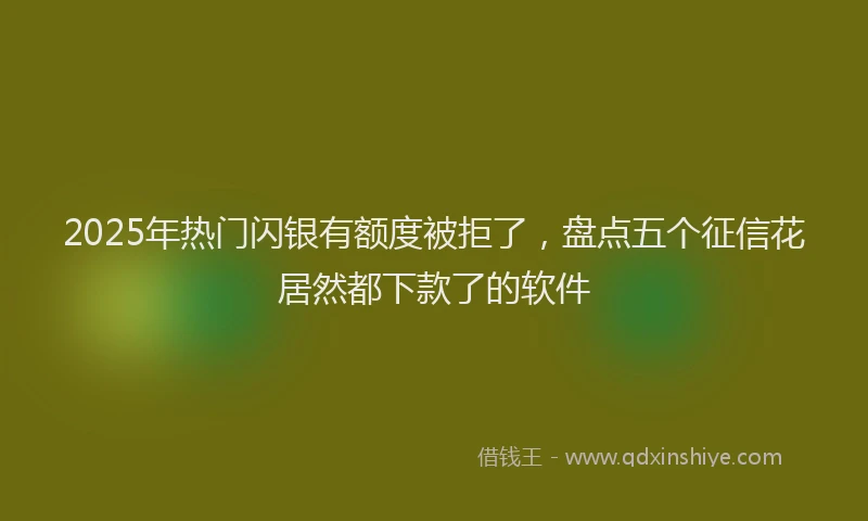2025年热门闪银有额度被拒了，盘点五个征信花居然都下款了的软件