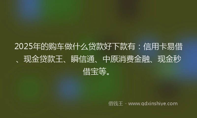 2025年的购车做什么贷款好下款有：信用卡易借、现金贷款王、瞬信通、中原消费金融、现金秒借宝等。