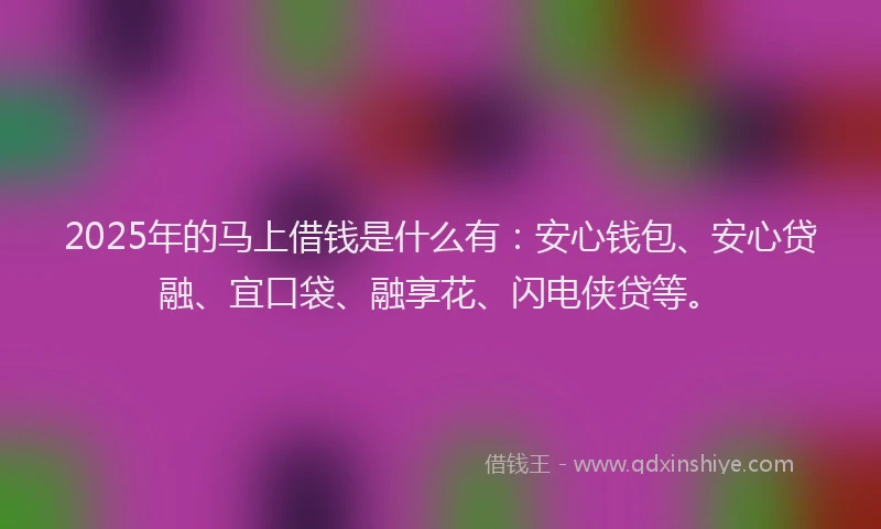 2025年的马上借钱是什么有：安心钱包、安心贷融、宜口袋、融享花、闪电侠贷等。