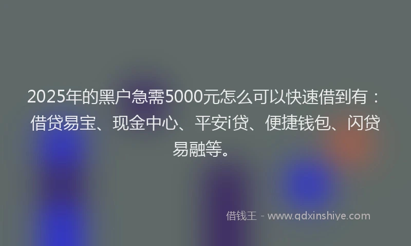 2025年的黑户急需5000元怎么可以快速借到有：借贷易宝、现金中心、平安i贷、便捷钱包、闪贷易融等。