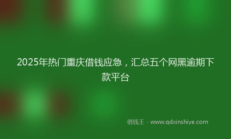 2025年热门重庆借钱应急，汇总五个网黑逾期下款平台