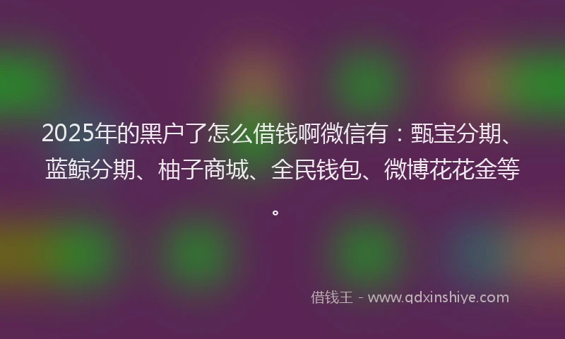 2025年的黑户了怎么借钱啊微信有：甄宝分期、蓝鲸分期、柚子商城、全民钱包、微博花花金等。