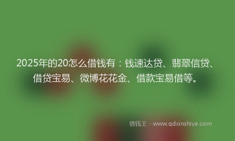 2025年的20怎么借钱有：钱速达贷、翡翠信贷、借贷宝易、微博花花金、借款宝易借等。