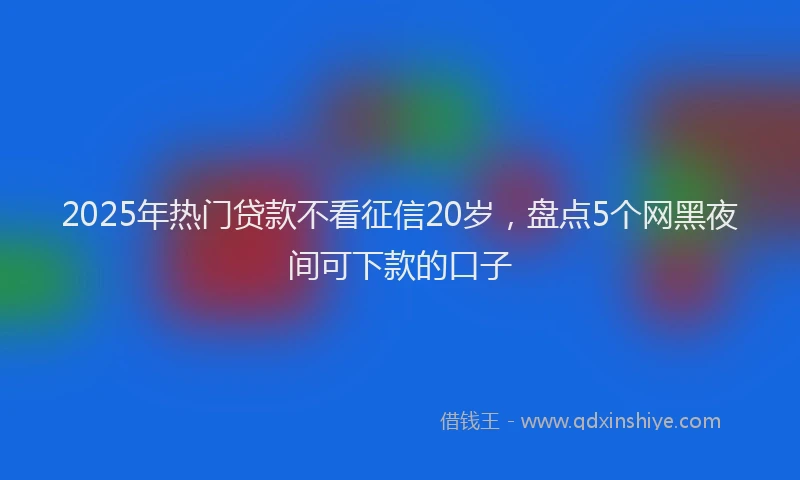 2025年热门贷款不看征信20岁，盘点5个网黑夜间可下款的口子