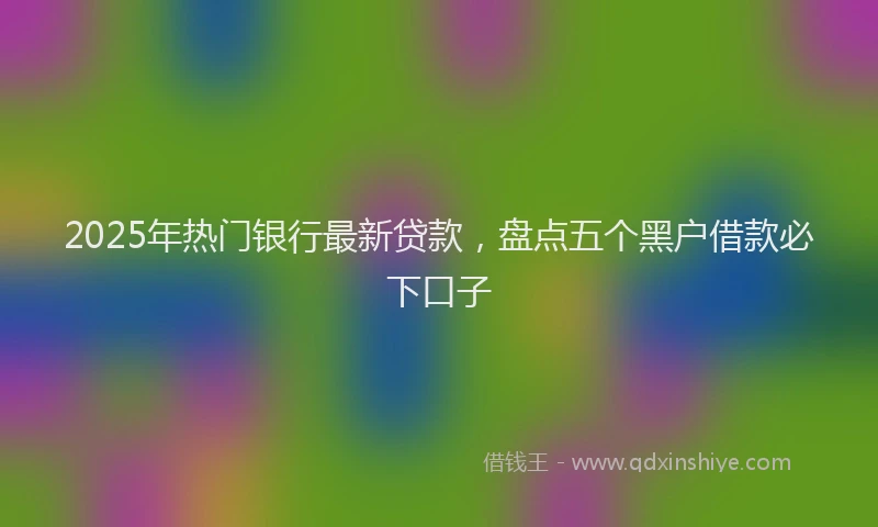 2025年热门银行最新贷款，盘点五个黑户借款必下口子