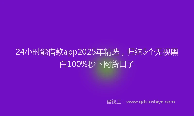 24小时能借款app2025年精选，归纳5个无视黑白100%秒下网贷口子