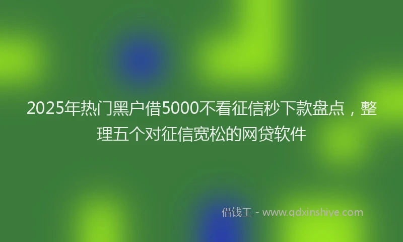 2025年热门黑户借5000不看征信秒下款盘点，整理五个对征信宽松的网贷软件