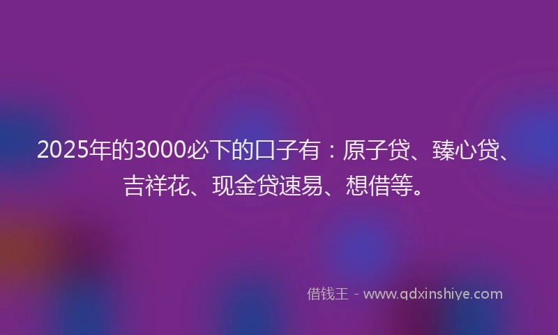 2025年的3000必下的口子有：原子贷、臻心贷、吉祥花、现金贷速易、想借等。