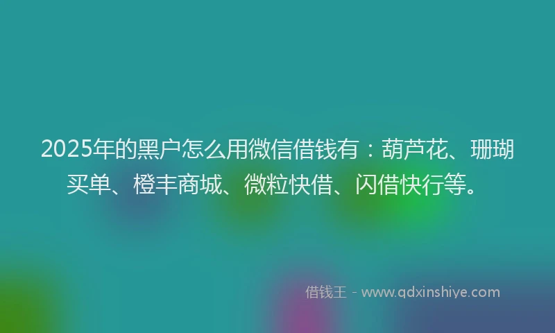 2025年的黑户怎么用微信借钱有：葫芦花、珊瑚买单、橙丰商城、微粒快借、闪借快行等。