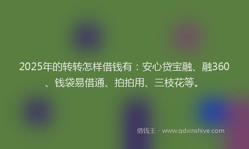 2025年的转转怎样借钱有：安心贷宝融、融360、钱袋易借通、拍拍用、三枝花等。