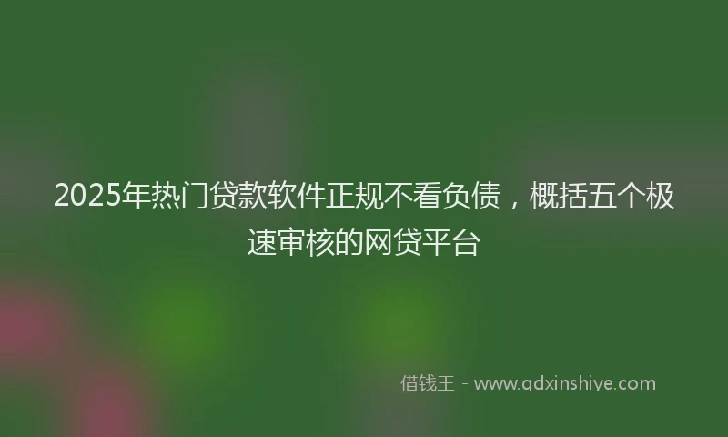 2025年热门贷款软件正规不看负债，概括五个极速审核的网贷平台