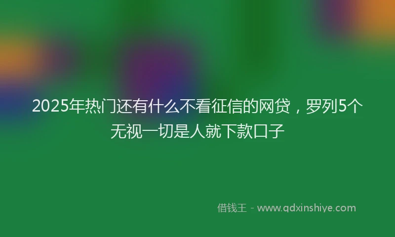 2025年热门还有什么不看征信的网贷，罗列5个无视一切是人就下款口子