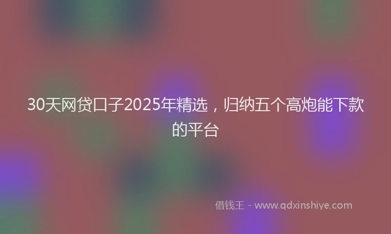 30天网贷口子2025年精选，归纳五个高炮能下款的平台