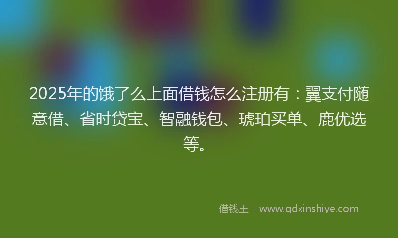 2025年的饿了么上面借钱怎么注册有：翼支付随意借、省时贷宝、智融钱包、琥珀买单、鹿优选等。