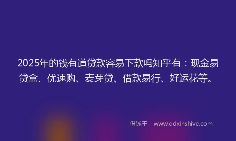 2025年的钱有道贷款容易下款吗知乎有：现金易贷盒、优速购、麦芽贷、借款易行、好运花等。