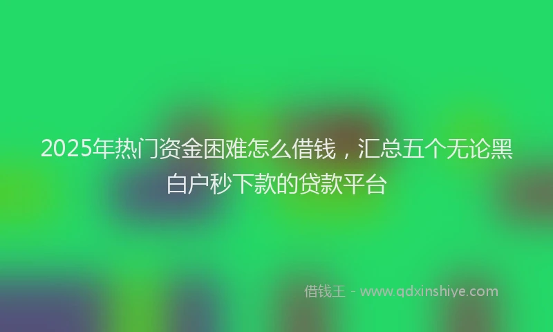 2025年热门资金困难怎么借钱，汇总五个无论黑白户秒下款的贷款平台
