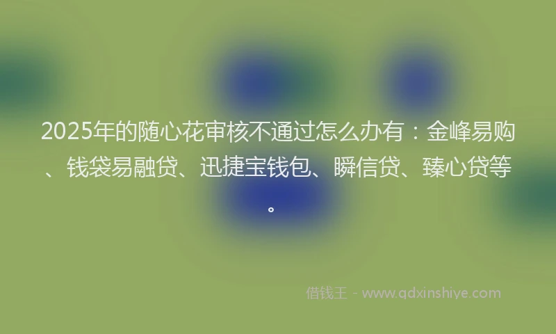 2025年的随心花审核不通过怎么办有：金峰易购、钱袋易融贷、迅捷宝钱包、瞬信贷、臻心贷等。
