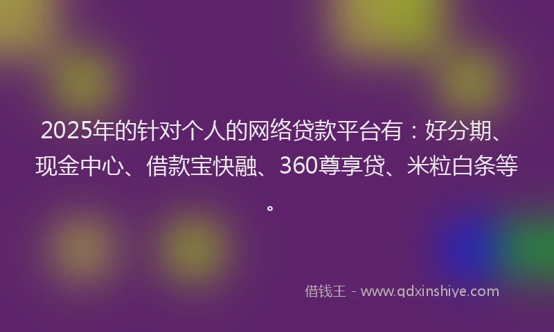2025年的针对个人的网络贷款平台有：好分期、现金中心、借款宝快融、360尊享贷、米粒白条等。