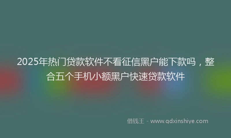 2025年热门贷款软件不看征信黑户能下款吗，整合五个手机小额黑户快速贷款软件
