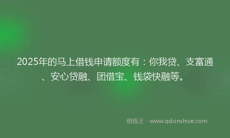 2025年的马上借钱申请额度有：你我贷、支富通、安心贷融、团借宝、钱袋快融等。