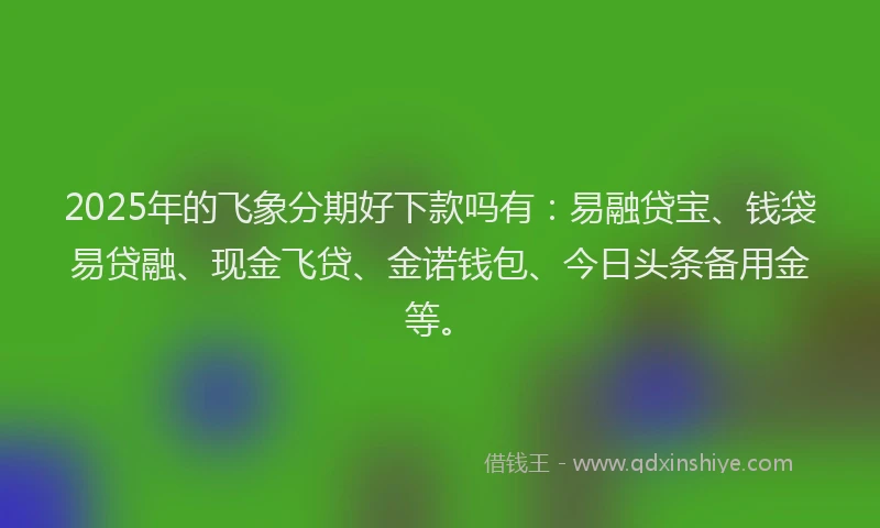 2025年的飞象分期好下款吗有：易融贷宝、钱袋易贷融、现金飞贷、金诺钱包、今日头条备用金等。