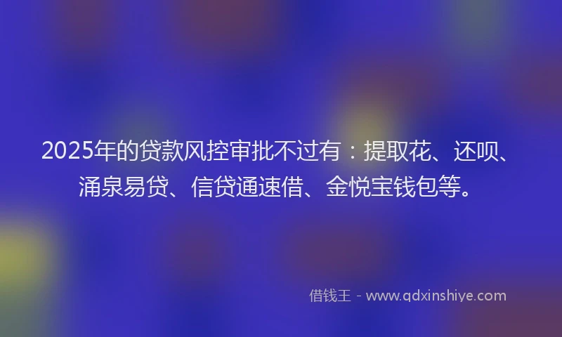 2025年的贷款风控审批不过有：提取花、还呗、涌泉易贷、信贷通速借、金悦宝钱包等。