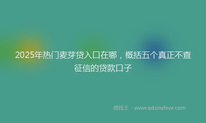 2025年热门麦芽贷入口在哪，概括五个真正不查征信的贷款口子