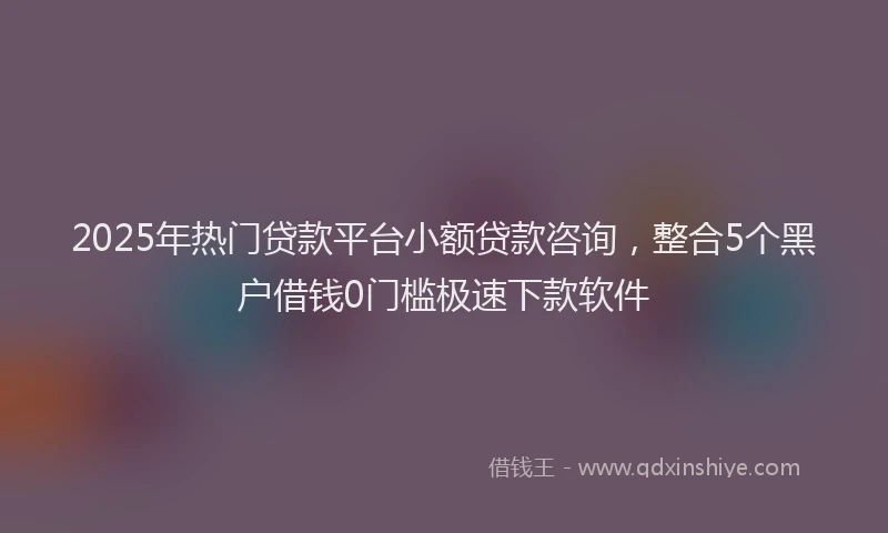 2025年热门贷款平台小额贷款咨询，整合5个黑户借钱0门槛极速下款软件