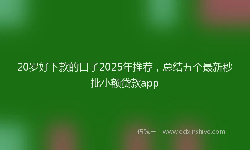 20岁好下款的口子2025年推荐，总结五个最新秒批小额贷款app