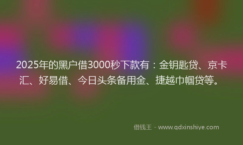 2025年的黑户借3000秒下款有：金钥匙贷、京卡汇、好易借、今日头条备用金、捷越巾帼贷等。