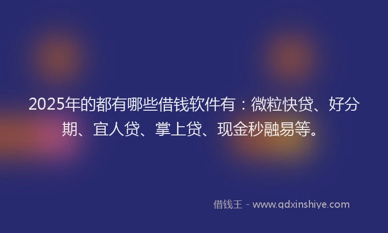 2025年的都有哪些借钱软件有：微粒快贷、好分期、宜人贷、掌上贷、现金秒融易等。