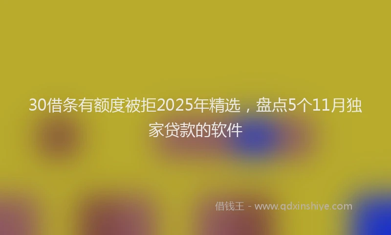 30借条有额度被拒2025年精选，盘点5个11月独家贷款的软件