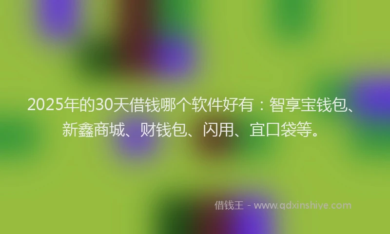 2025年的30天借钱哪个软件好有：智享宝钱包、新鑫商城、财钱包、闪用、宜口袋等。