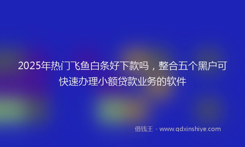 2025年热门飞鱼白条好下款吗，整合五个黑户可快速办理小额贷款业务的软件