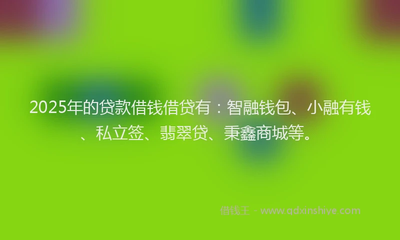 2025年的贷款借钱借贷有：智融钱包、小融有钱、私立签、翡翠贷、秉鑫商城等。
