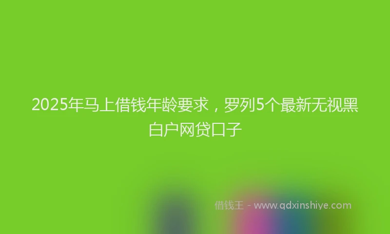 2025年马上借钱年龄要求，罗列5个最新无视黑白户网贷口子