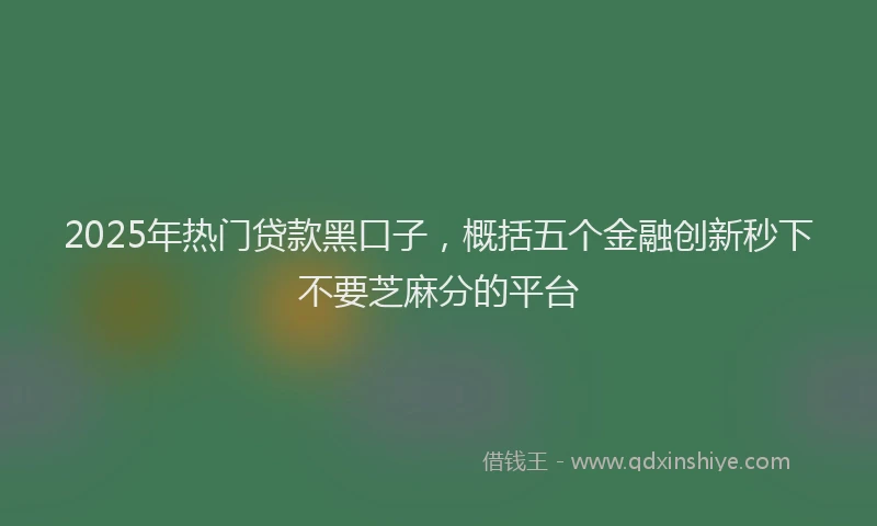 2025年热门贷款黑口子，概括五个金融创新秒下不要芝麻分的平台