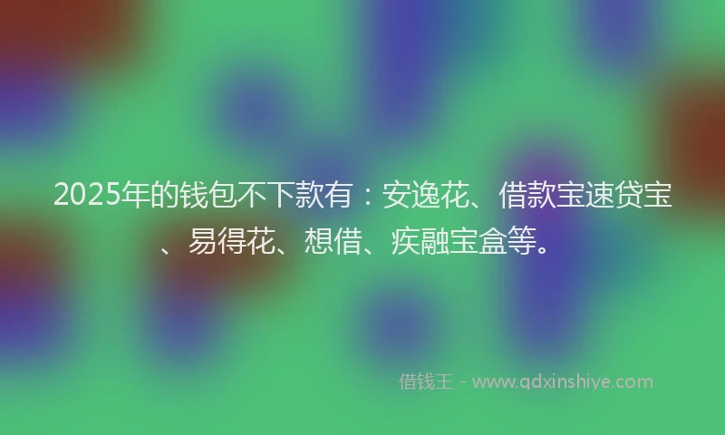 2025年的钱包不下款有：安逸花、借款宝速贷宝、易得花、想借、疾融宝盒等。