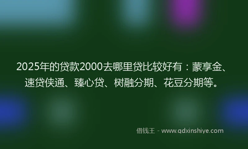2025年的贷款2000去哪里贷比较好有：蒙享金、速贷侠通、臻心贷、树融分期、花豆分期等。