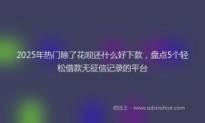2025年热门除了花呗还什么好下款，盘点5个轻松借款无征信记录的平台