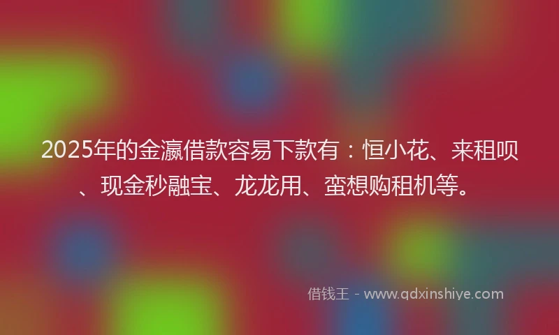 2025年的金瀛借款容易下款有：恒小花、来租呗、现金秒融宝、龙龙用、蛮想购租机等。