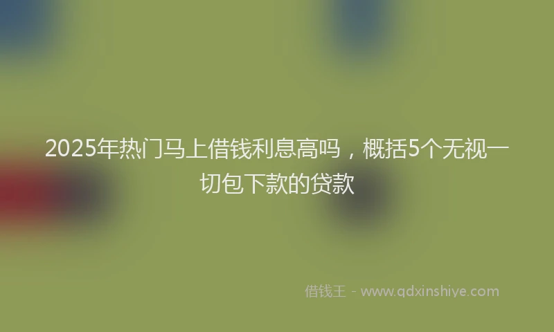 2025年热门马上借钱利息高吗，概括5个无视一切包下款的贷款