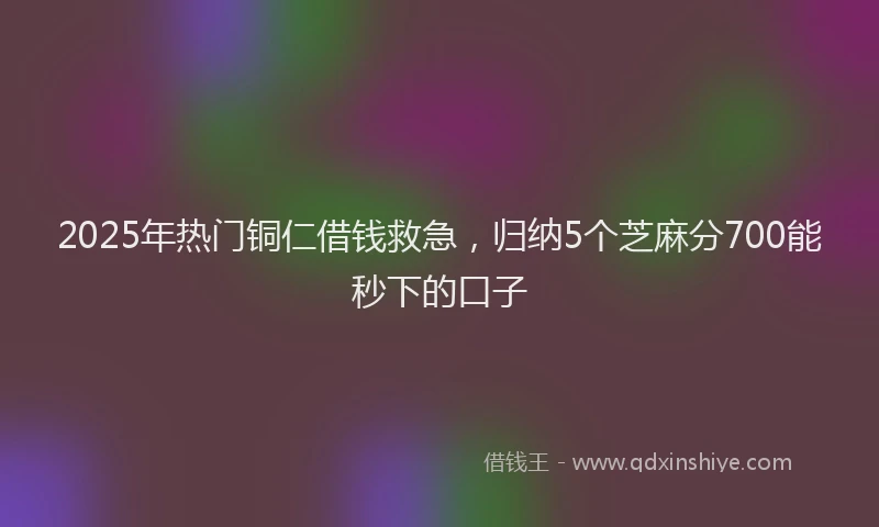 2025年热门铜仁借钱救急，归纳5个芝麻分700能秒下的口子