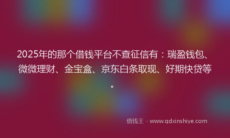2025年的那个借钱平台不查征信有：瑞盈钱包、微微理财、金宝盒、京东白条取现、好期快贷等。