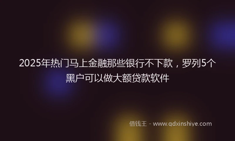 2025年热门马上金融那些银行不下款，罗列5个黑户可以做大额贷款软件