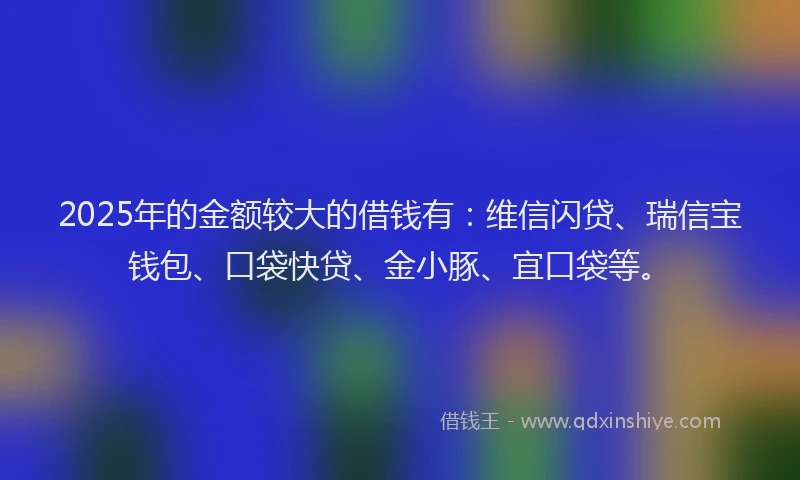 2025年的金额较大的借钱有：维信闪贷、瑞信宝钱包、口袋快贷、金小豚、宜口袋等。